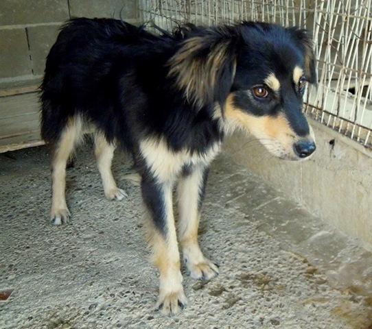 [DSCN6728%255B4%255D.jpg]