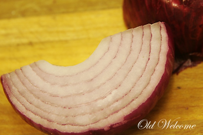 [bermuda%2520red%2520purple%2520onion%2520old%2520welcome%255B4%255D.jpg]
