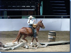 9764 Alberta Calgary Stampede 100th Anniversary - Cowboy Up Challenge Scotiabank Saddledome