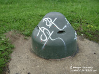 dsc00953.jpg