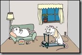 mouse models - exercise cartoon mouse models - exercise cartoon