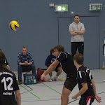 DSC_7331.jpg
