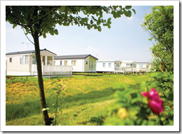 Massive Choice of Parks and Accommodation