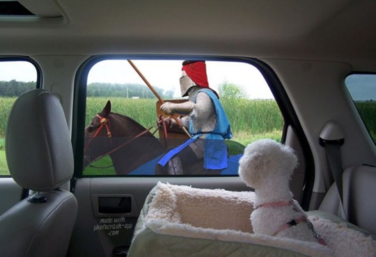 [viral-picdump-pics-22%255B2%255D.jpg]