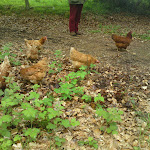 DSC00637.JPG