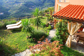 Italy property sale in Liguria, Vallebona