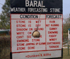 weather-forecast.gif
