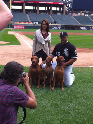 Mark and Jamie, with their own dogs, Diesel, Duke, and Drake, pose for the Adopt-a-Pet.com billboard. Mark and Jamie, with their own dogs, Diesel, Duke, and Drake, pose for the Adopt-a-Pet.com billboard.