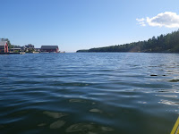 IMGP0104.JPG Photo