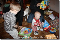 IMG_0560 IMG_0560