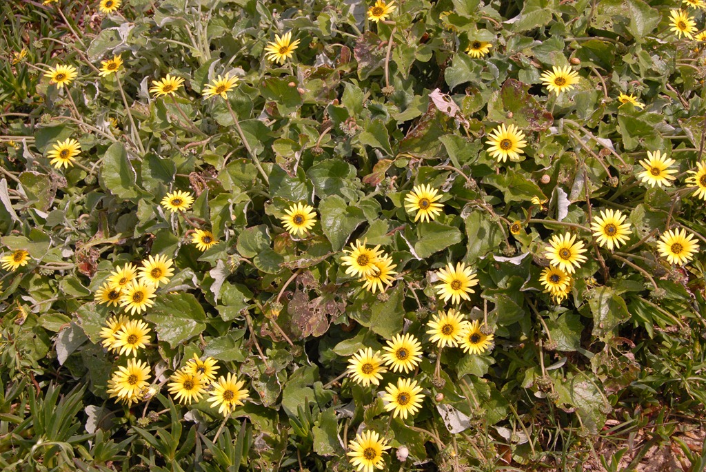 [DSC_0228%255B4%255D.jpg]