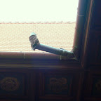 DSC01293.JPG