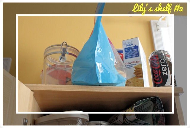 kitchen cupboard pet junk kitchen cupboard pet junk