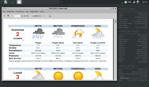 Le previsioni meteo in PDF