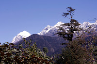 _MG_2280.jpg Photo