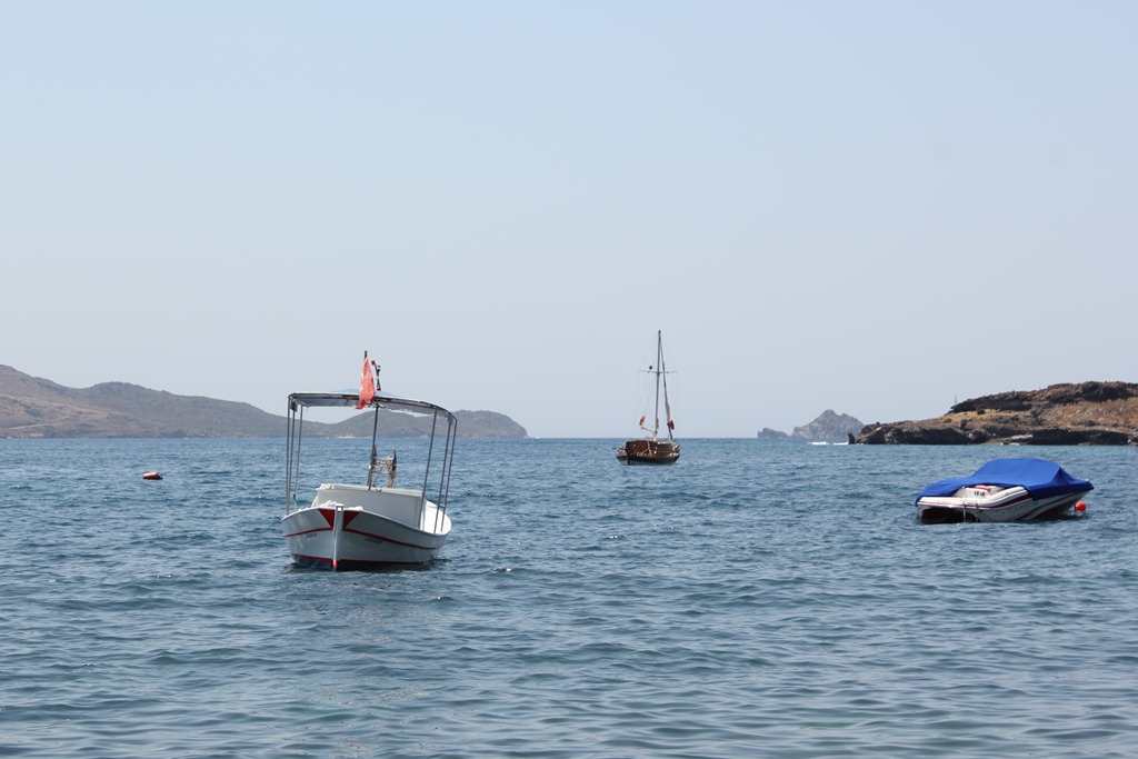 [IMG_10333.jpg]