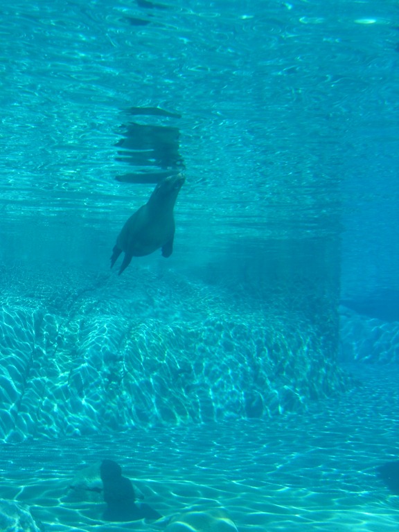 [Fresno%2520Zoo%2520016%255B3%255D.jpg]