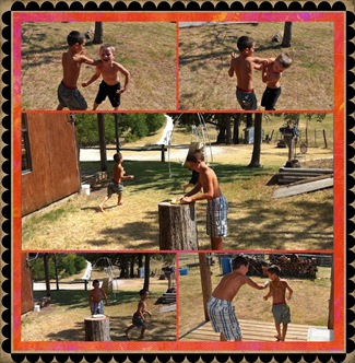 wk3 cell fight 2