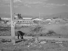 haiti20.jpg