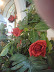 DSC00101.jpg