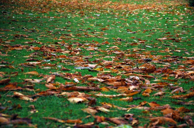 [DSC_0890%255B3%255D.jpg]