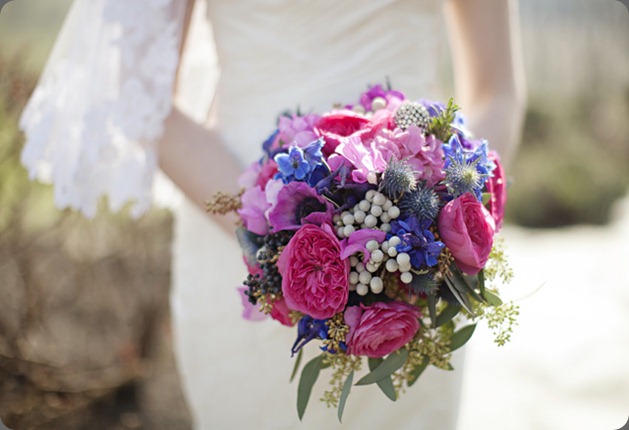 6a01127918a34b28a401538dd4f384970b holly chapple 6a01127918a34b28a401538dd4f384970b holly chapple