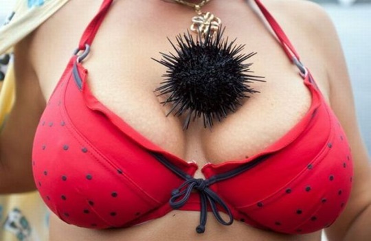 [viral-picdump-pics-4%255B2%255D.jpg]