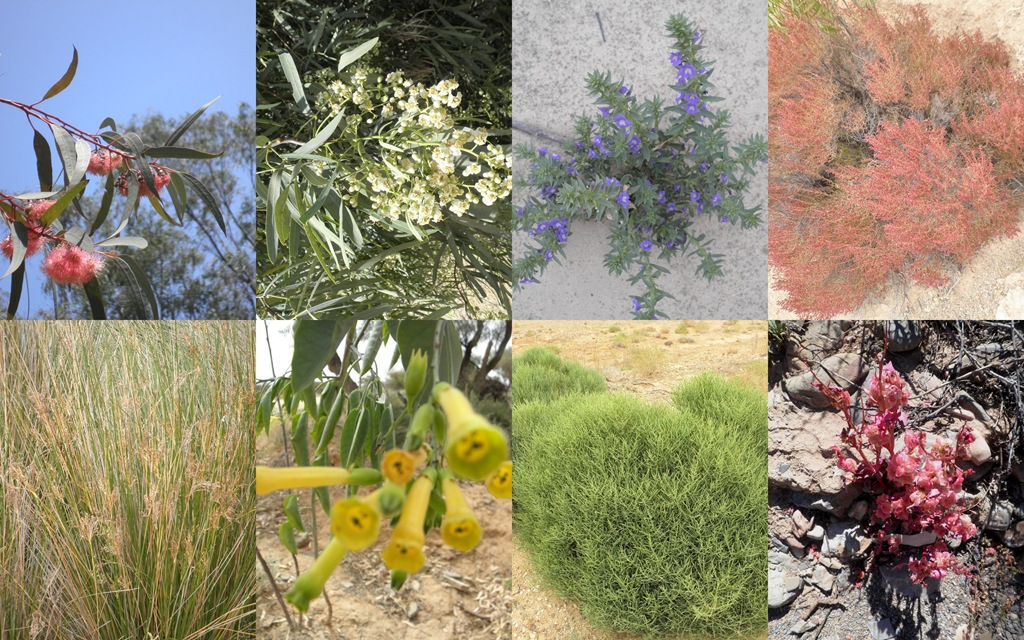 [Collage%25201%255B8%255D.jpg]