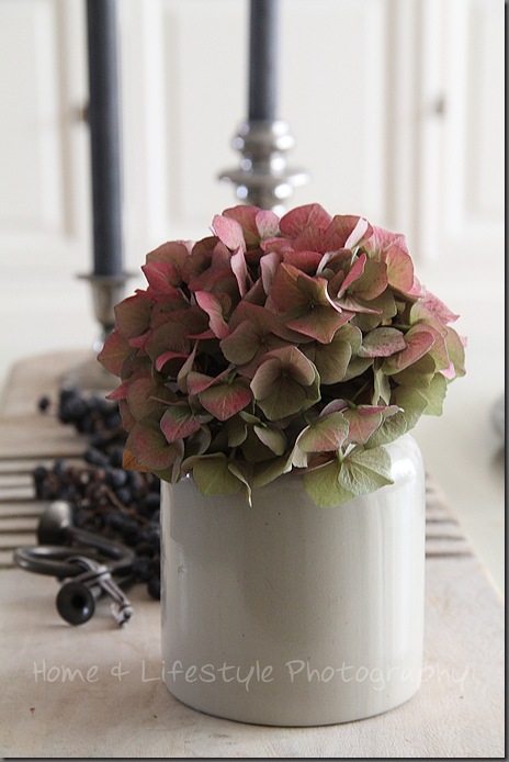 Home & Lifestyle Home & Lifestyle