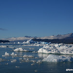 IMG_8693.JPG