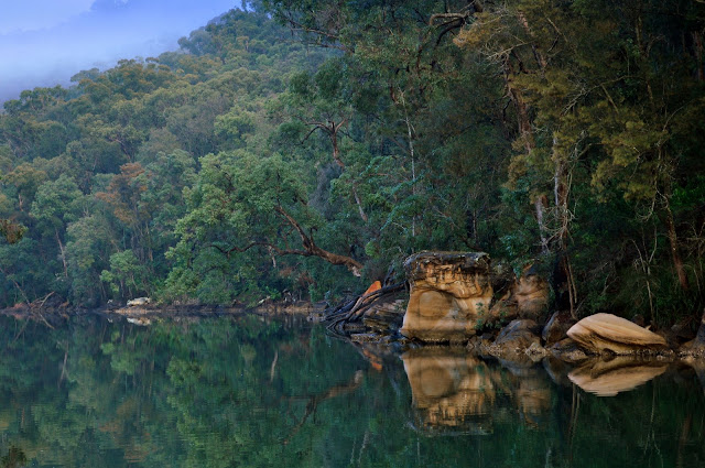 Apple Tree Bay aux environs de Kuring-gai, New South Wales (Australie), 9 juillet 2009. Photo : Barbara Kedzierski