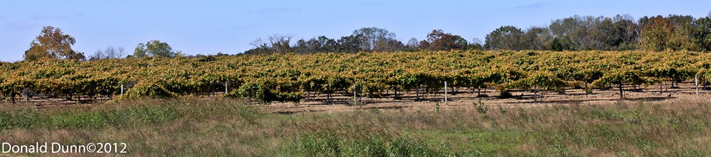 [121026_E30%255B5%255D.jpg]