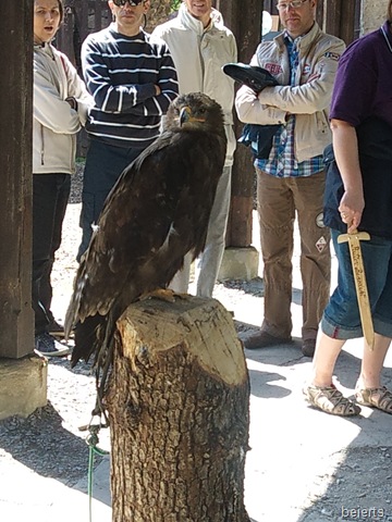 [Kinderfest%2520auf%2520Schloss%2520Burg%252017.06.12%2520004%255B4%255D.jpg]