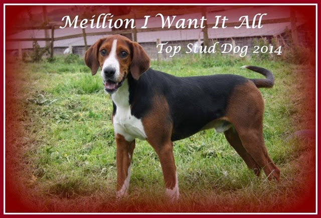 Meillion I Want It All. (2) Meillion I Want It All. (2)
