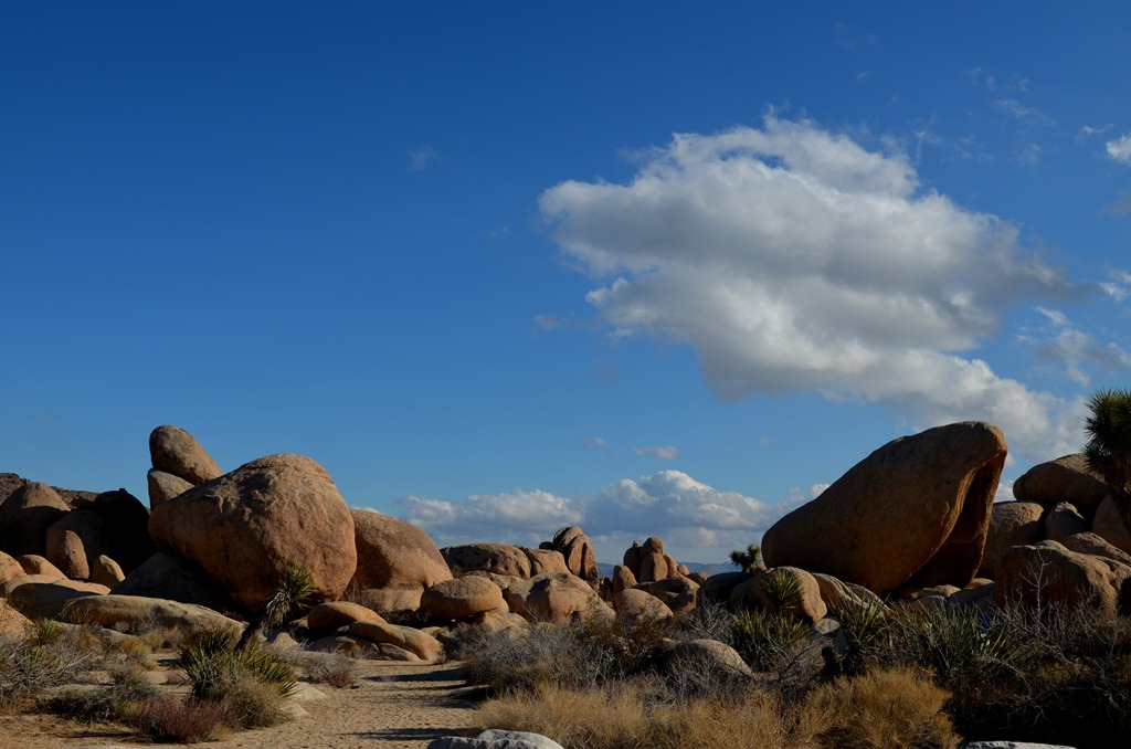[the%2520desert%25201_092DSC_0092%255B4%255D.jpg]