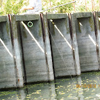 IMG_8060.JPG