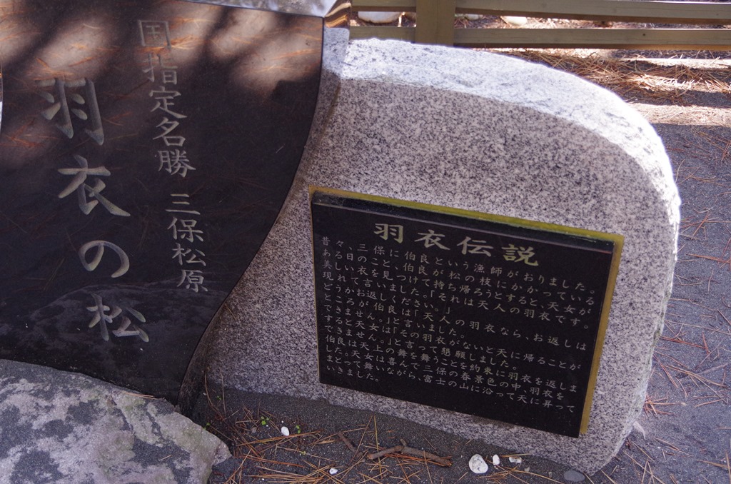 [IMGP40433.jpg]