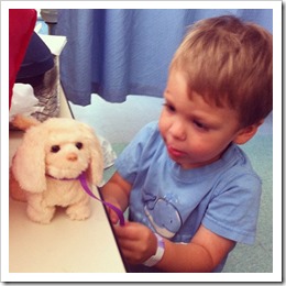 dogtherapy dogtherapy