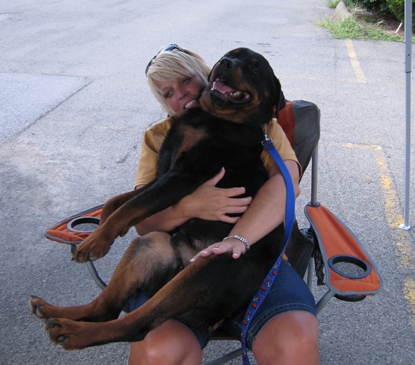 Paulie Rottie Empire Rescue