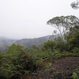 A cloudy day at Bukit Manja on Pangulubao (Daniel Quinn, August 2011)