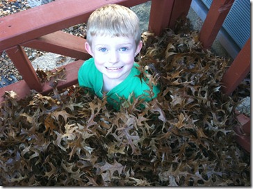 sam in leaves