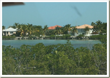 IMG_3726 IMG_3726