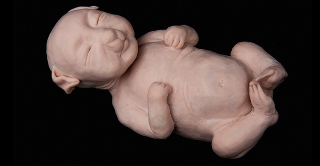 Você está pronto para ver fotos de um pet híbrido cachorro/humano? - www.deubandeira.com.br bebe-humano-cachorro-deubandeira-capa
