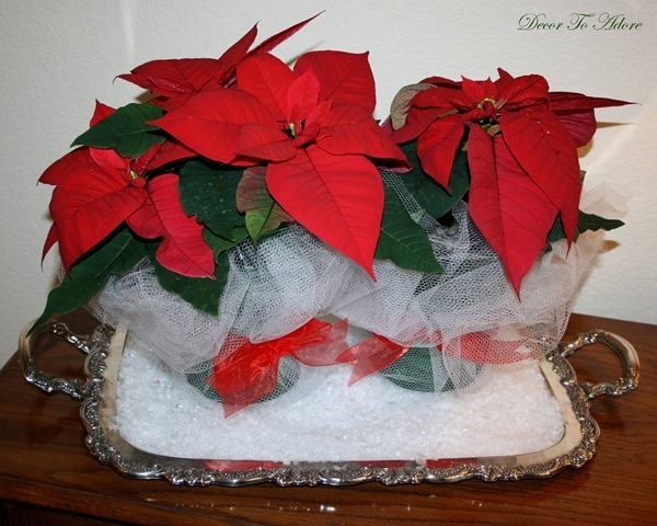 wrap 064