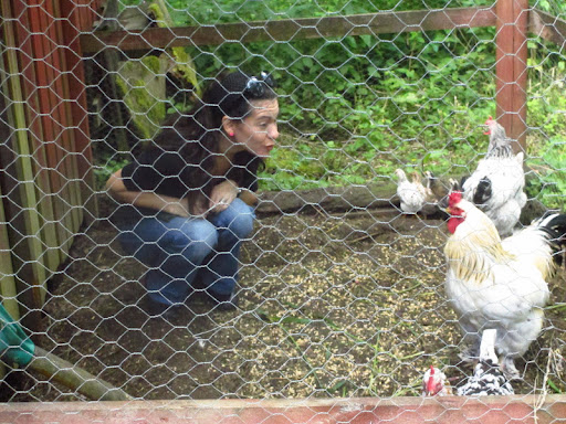 And here are some of my chicken relatives! They were so welcoming and even offered to share some of their dinner with me!