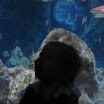 CORNWALL AUG 2008 129.JPG