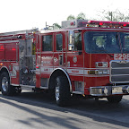 IMGP0863.JPG