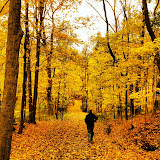 "October Trails" - copyright Julianne Drew