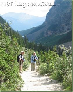 105_0532PlainOfSixGlaciersTrail 105_0532PlainOfSixGlaciersTrail