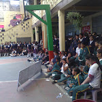 viane a mil amores acul 481.jpg